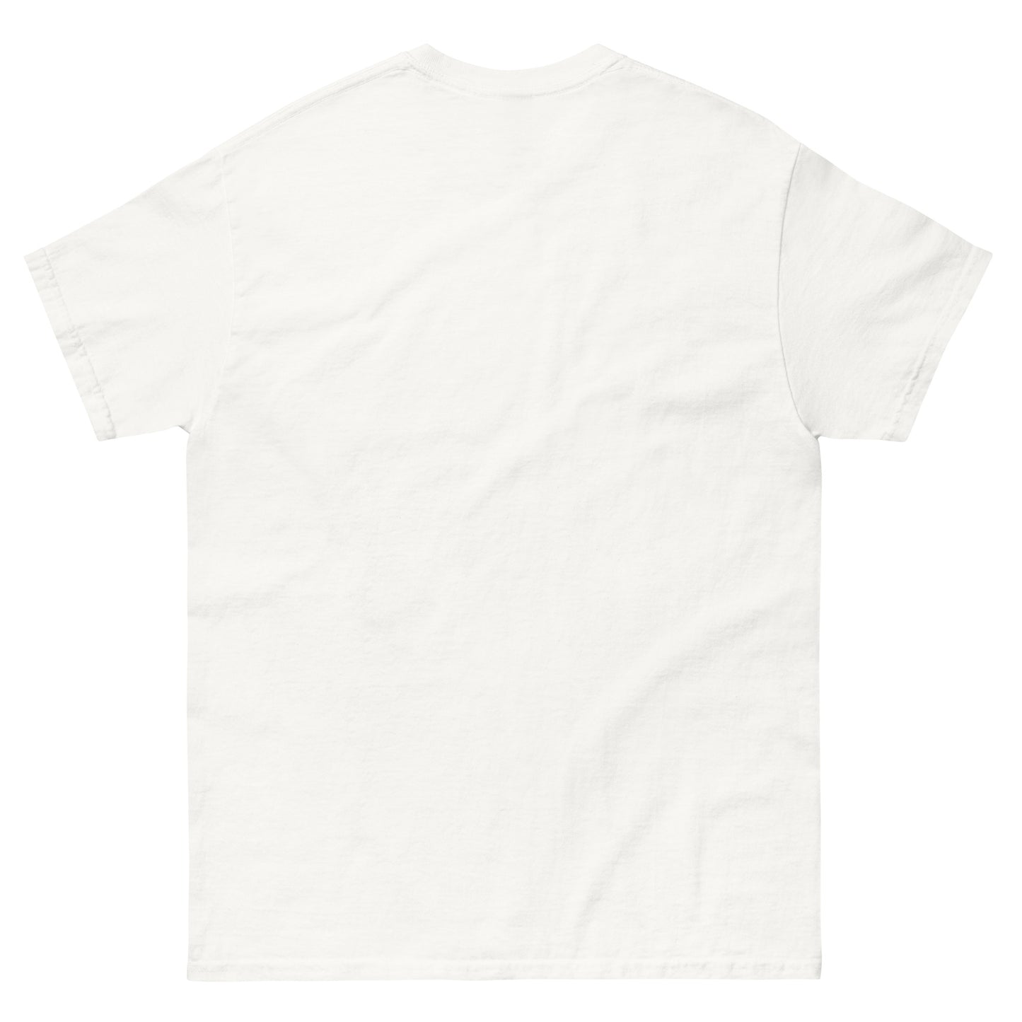 *NDLPT Pop Star T-Shirt