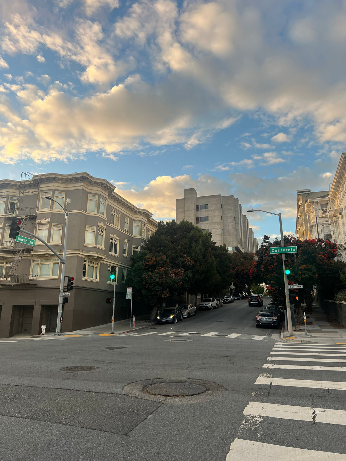 A Day of Needlepoint in Pacific Heights, San Francisco