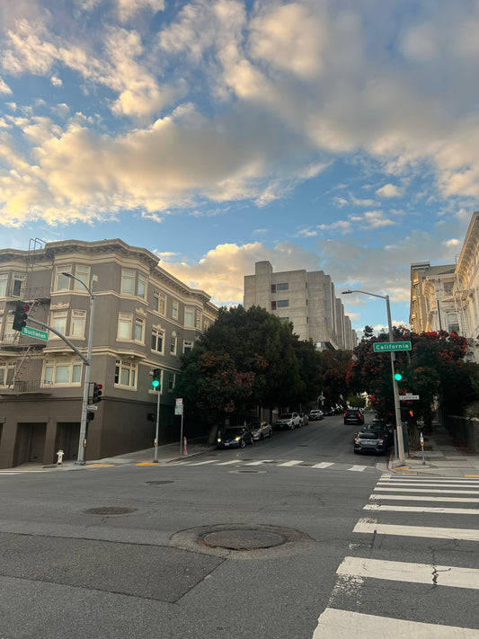 A Day of Needlepoint in Pacific Heights, San Francisco