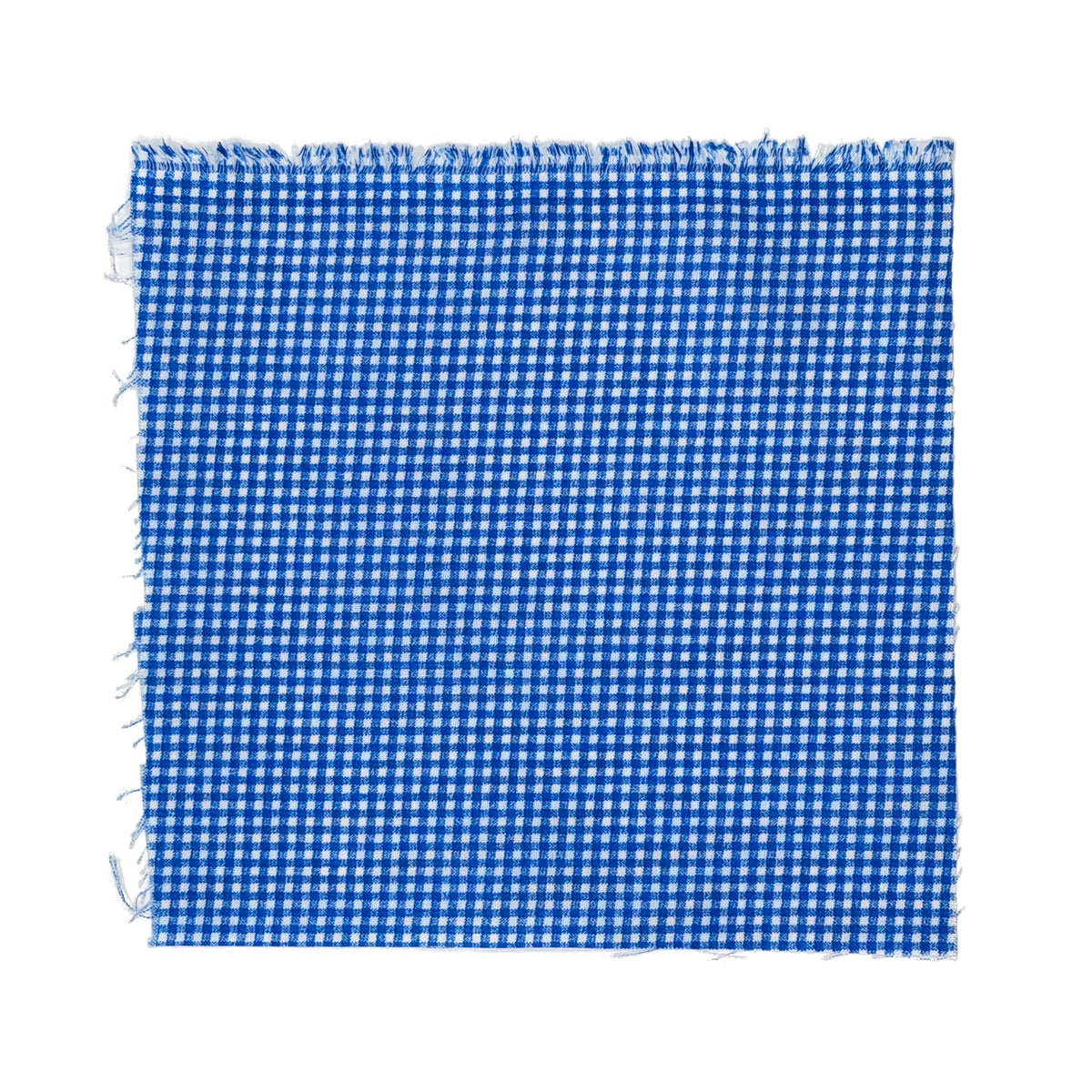 Blue Gingham fabric swatch