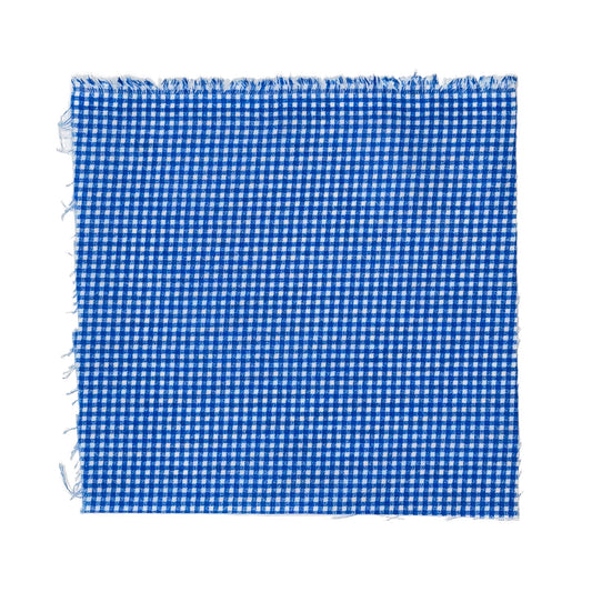 Blue Gingham fabric swatch