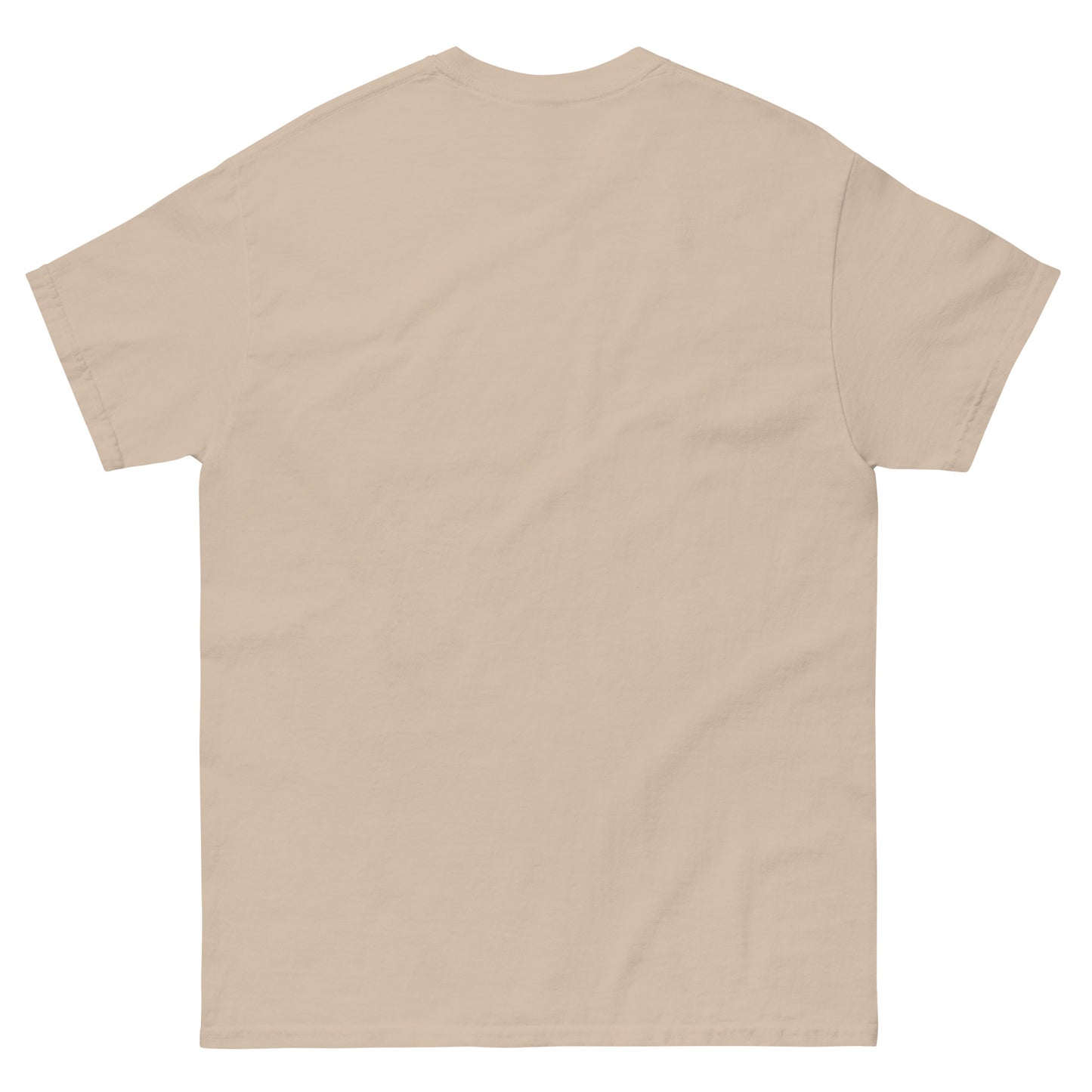 *NDLPT Pop Star T-Shirt